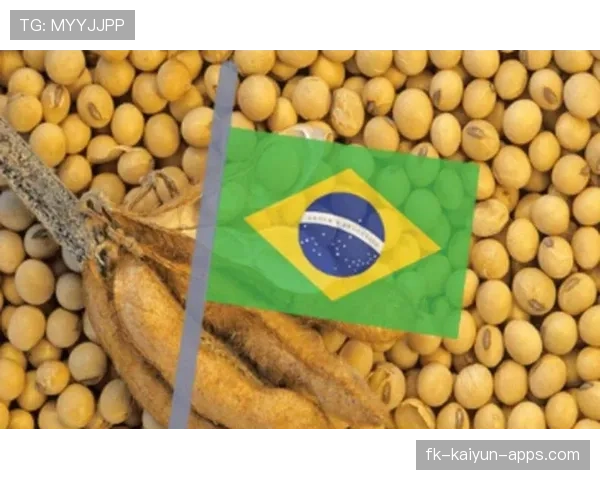 关税成僵局，中国停购美国大豆引发关注，中国购美国大豆新消息